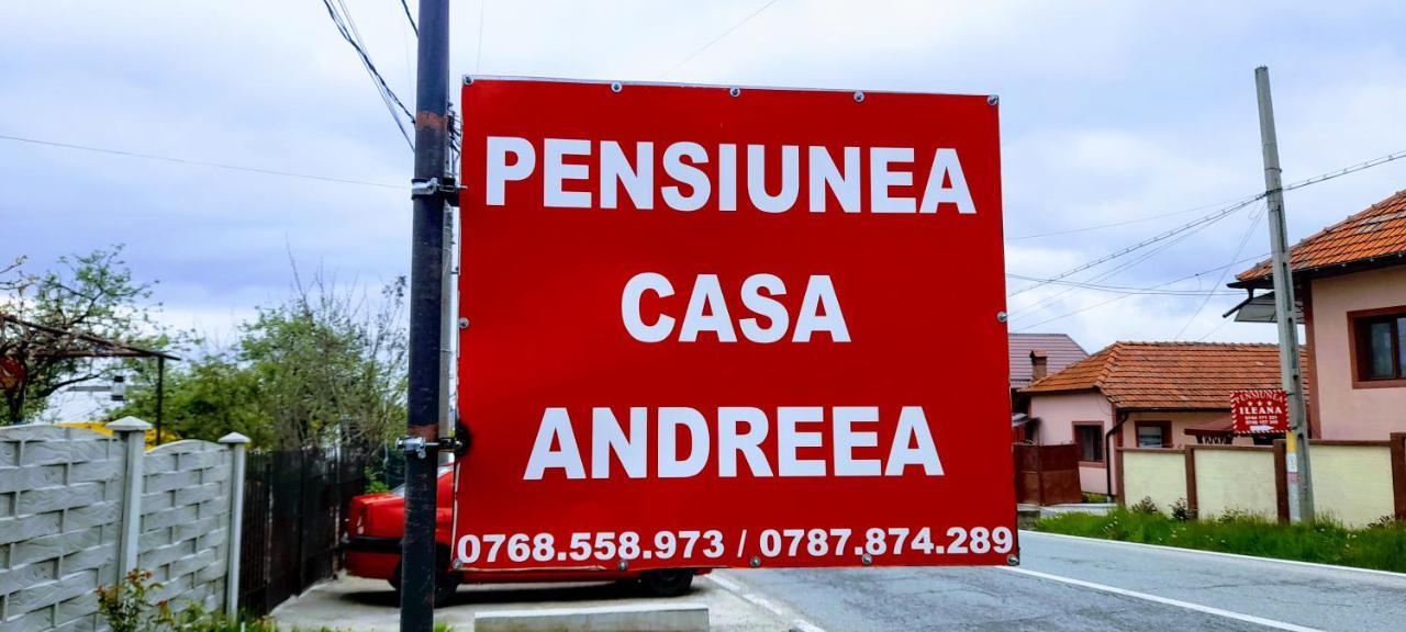 Pensiunea Casa Andreea Novaci-Străini Buitenkant foto