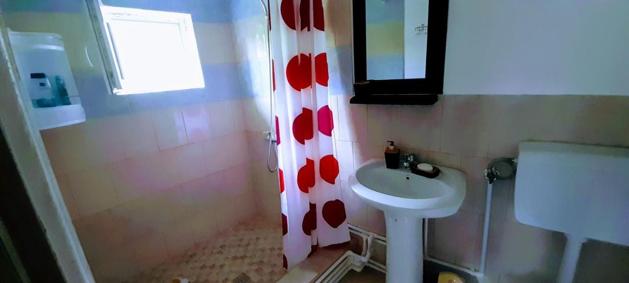 Pensiunea Casa Andreea Novaci-Străini Buitenkant foto