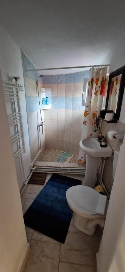 Pensiunea Casa Andreea Novaci-Străini Buitenkant foto