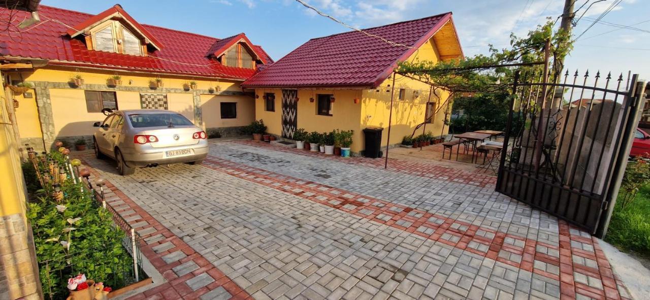 Pensiunea Casa Andreea Novaci-Străini Buitenkant foto
