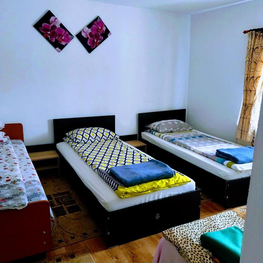 Pensiunea Casa Andreea Novaci-Străini Buitenkant foto